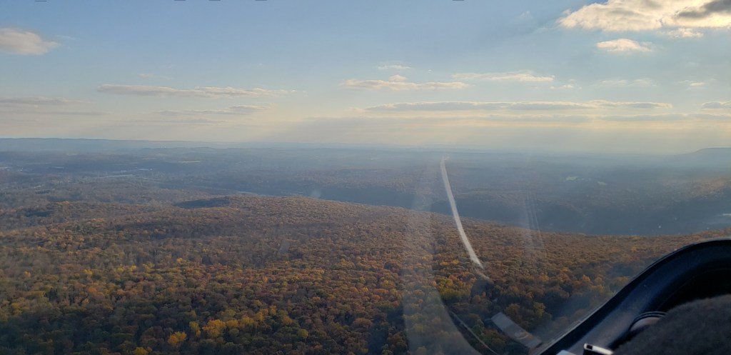 A carpet of yellows, oranges, and reds in a beautiful glow.